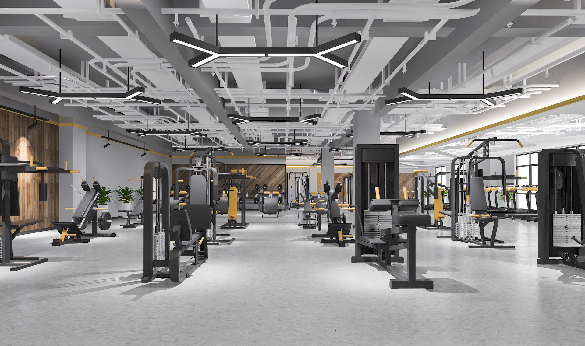 How To Guarantee Yourself A Successful Gym Ownership