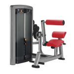 Life-Fitness-Insignia-Series-Back-Extension